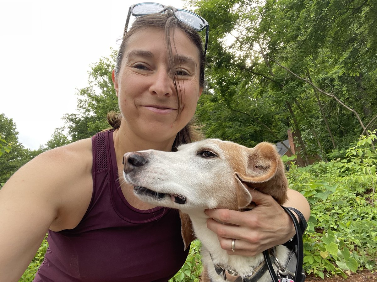 Angie Hogan tweet media