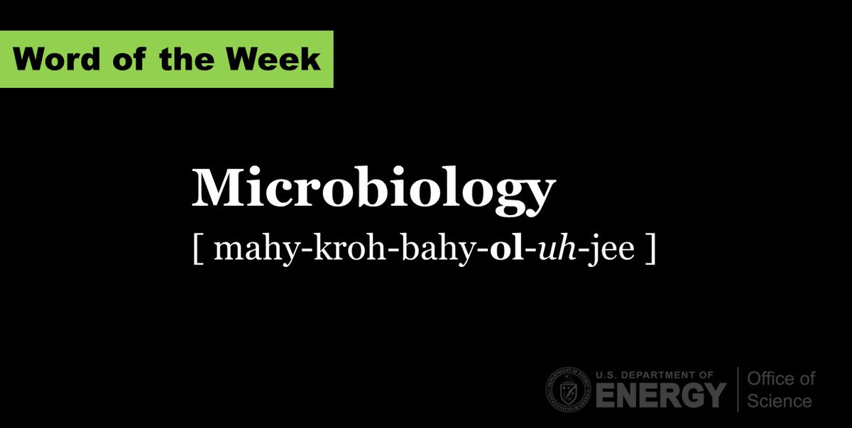 DOE Office of Science (@doescience) on Twitter photo Science #WordOfTheWeek: Microbiology is the study of microorganisms that are usually too small to be visible to the human eye without a microscope. @Energy funds microbiology research <a href="/EMSLscience/">Environmental Molecular Sciences Laboratory (EMSL)</a> & <a href="/jgi/">Joint Genome Institute</a> to explore biological and ecological systems: energy.gov/science/doe-ex… Science #WordOfTheWeek: Microbiology is the study of microorganisms that are usually too small to be visible to the human eye without a microscope. @Energy funds microbiology research <a href="/EMSLscience/">Environmental Molecular Sciences Laboratory (EMSL)</a> & <a href="/jgi/">Joint Genome Institute</a> to explore biological and ecological systems: energy.gov/science/doe-ex…