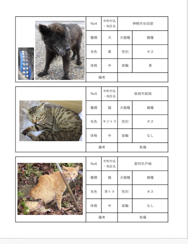 茨城県動物指導センターで保護している、迷子の犬猫の公表情報です。🐕🐈
お心当たりの飼い主様は動物指導センターにお電話ください‼️
動物指導センター
☎︎0296-72-1200(受付時間：平日8:30〜17:15)

6月14日(水) 公表情報