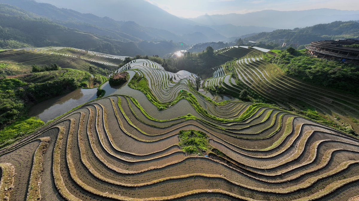 Pascal (@psero) on Twitter photo 