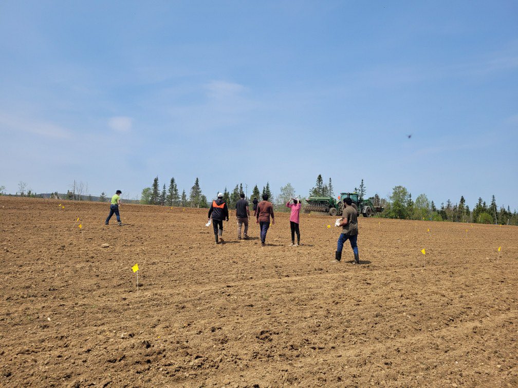 Fun day on the farm setting up a living labs trail.  <a href="/FFA_GovNL/">Fisheries, Forestry and Agriculture NL</a> <a href="/NLFarms/">NL Federation of Agriculture</a> <a href="/NLGrainDr/">Vanessa Kavanagh</a>