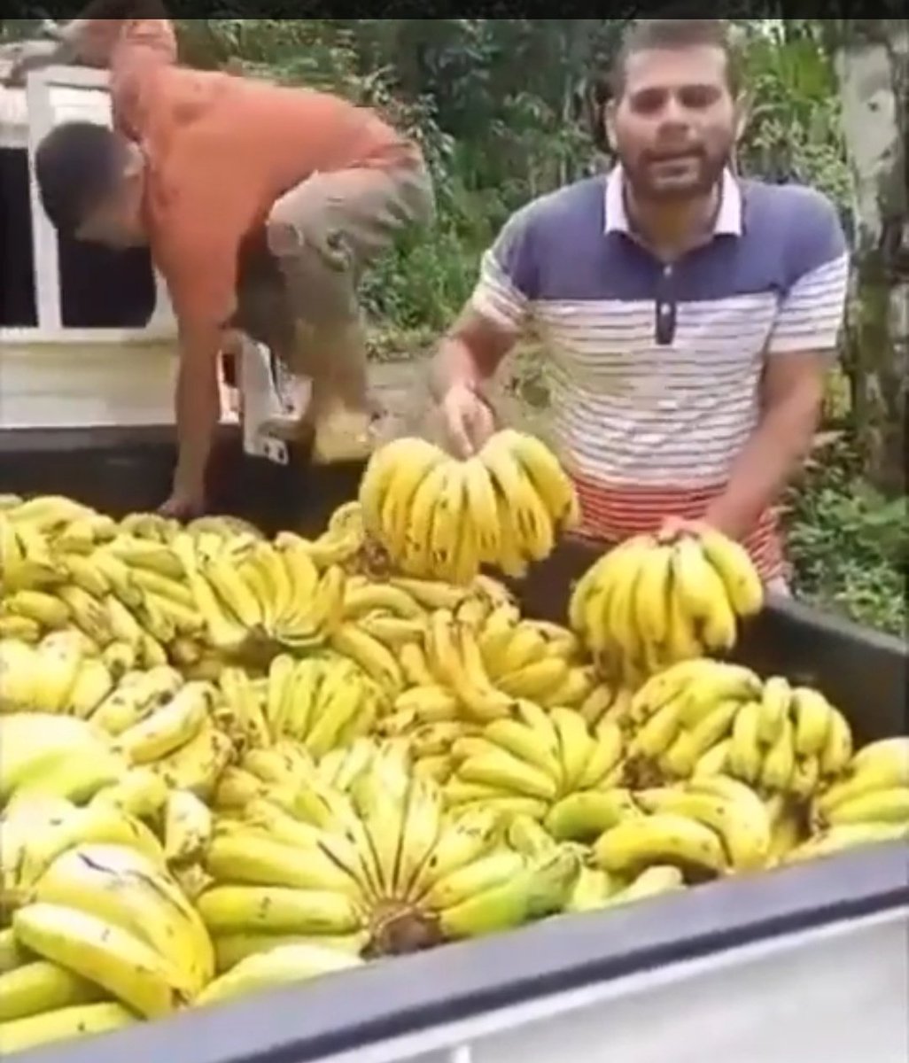 Marialex Cerezo tweet media