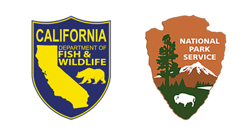 CaliforniaDFW's tweet photo. NEWS RELEASE: Final Necropsy Results Released For Mountain Lion P-22