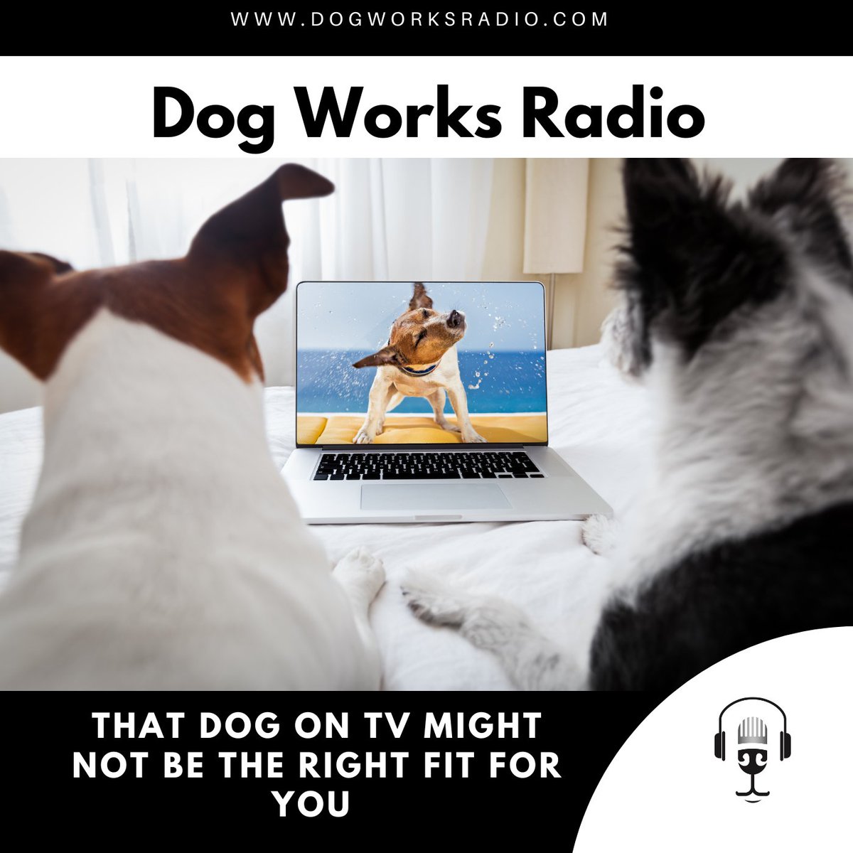 FirstPawMedia's tweet photo. [#Podcast] @micheleforto discusses why the #dog on tv and in the movies may not be the right fit for your family.

#dogpod https://t.co/zUsfMdDJIb https://t.co/TnZe8nP0E3
