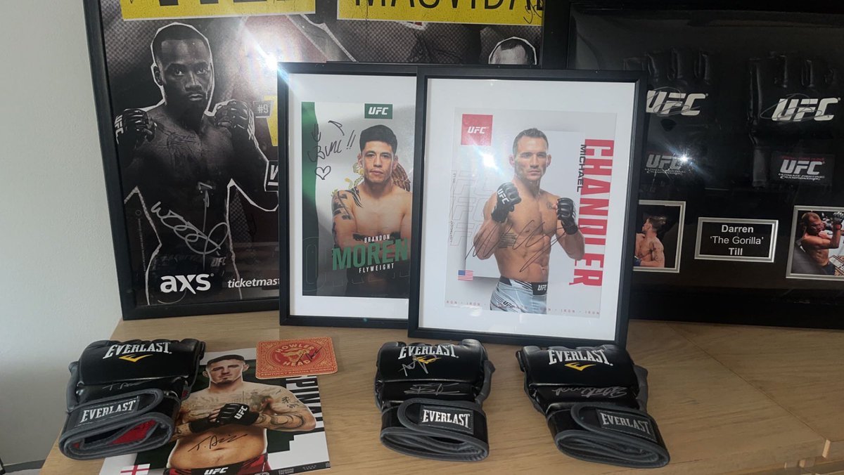 DanozStudio's tweet photo. @bateson87 There’s a few there for example but I have boxing gloves as well if possible😂 literally just need anything so I can display them nicely on the wall without them getting damaged https://t.co/i03SsUdkS3