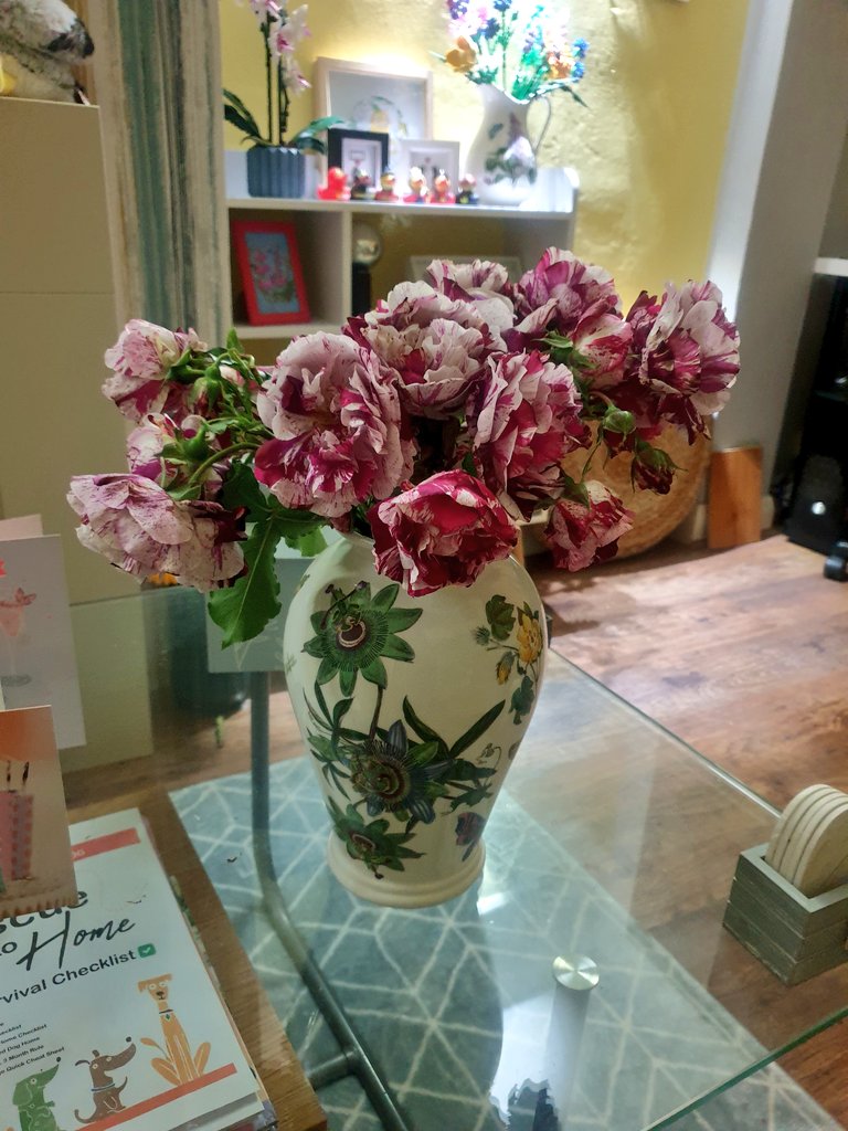 EmmaJanesLife's tweet image. Had to cut some of my #SplishSplash #roses as they were drooping to the ground 

This is just 2 stems! 😲🥰