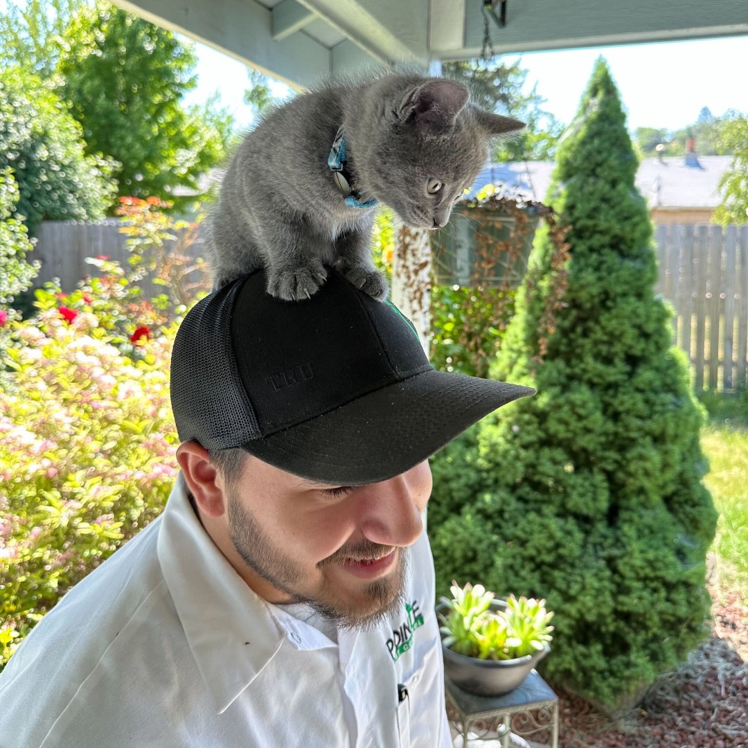 PointePest's tweet image. At Pointe Pest Control, we understand that pets are family too! Our pet-friendly services ensure a pest-free home while keeping your beloved companions safe and sound. 🐈🐕🏠 

#FamilyFriendlyPestControl #PointePestControl #betterisbetter