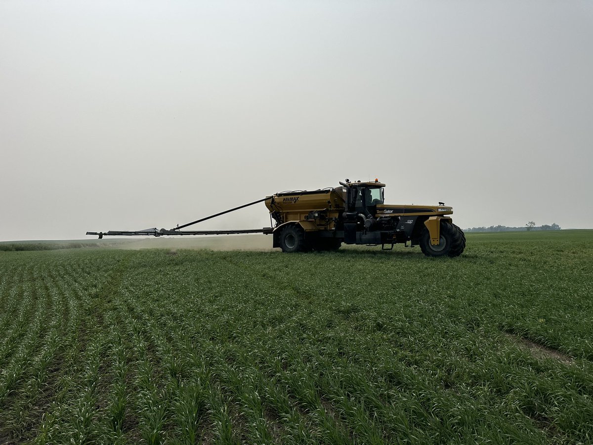 Qshizzle97's tweet photo. @CROPLANseed 3099A getting a little extra boost today and finally trying out our new to us spreader! #wheat #limitdown #recordyield https://t.co/1p4ztz1ORe