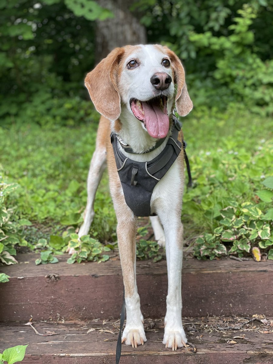 Angie Hogan tweet media