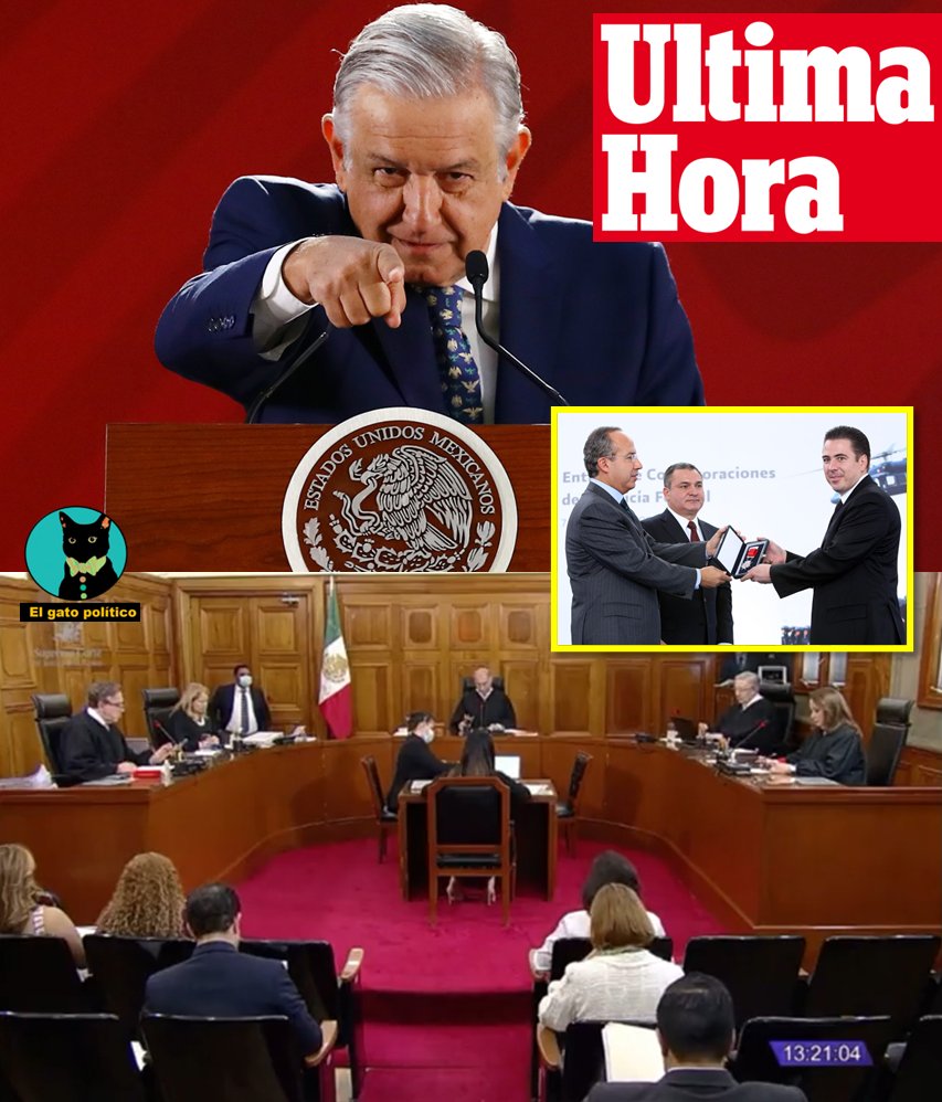 El gato político tweet media