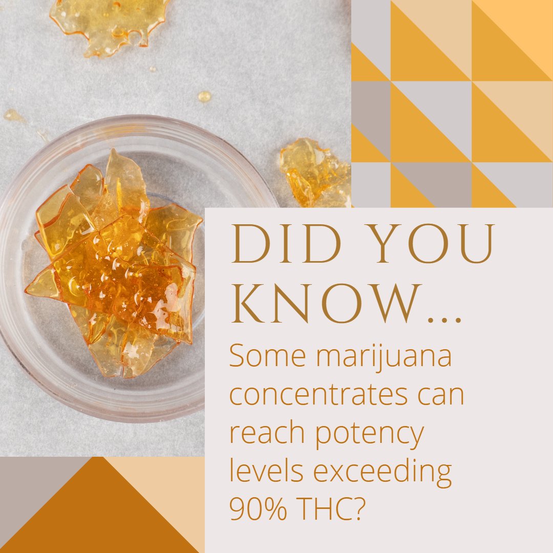 Comment below with your favorite concentrate

#maitrimeds #funfacts #education #concetrates #holisticwellness #cannabiscommunity