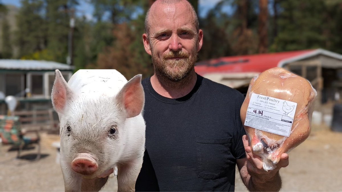 Mtspringhomestd's tweet photo. We Traded Chicken For Pigs!

https://t.co/wAFC6vn41V

#chickens #pigs #pork #pasturedpigs #homestead #homesteading #farm #farming #farmlife #raiseyourownfood #vlog https://t.co/A9nJ5P8hgQ