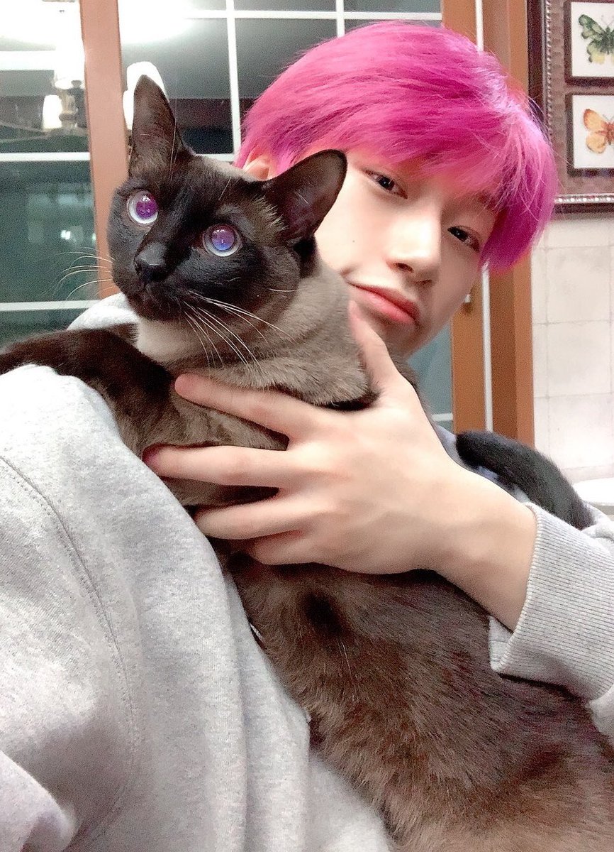 XcusMycharisma's tweet photo. These are my precious fur babies~☆ I'm Kitty Mom to San's Kitty Dad~
Black one is Opal and the Tiger Kitty is Topaz.
Also Byeol because I know those 3 would be besties. ✨️
#AtinyPetDay #AtinySpiritWeek #ATEEZ #에이티즈@ATEEZofficial #ATEEZ_BOUNCY #ATEEZ_OUTLAW https://t.co/BHM4aOnIQ3