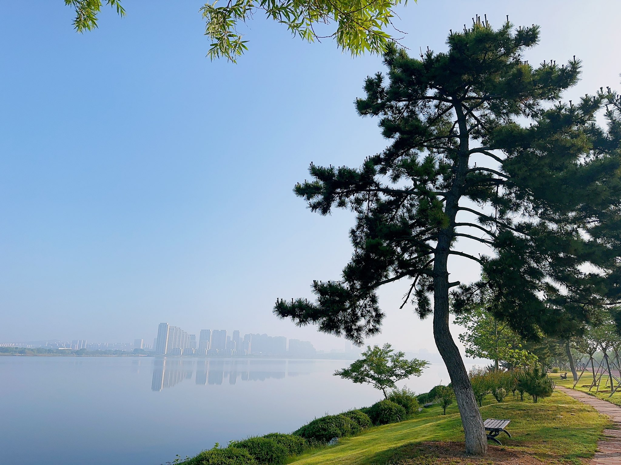 xiaonaiping66-twitter