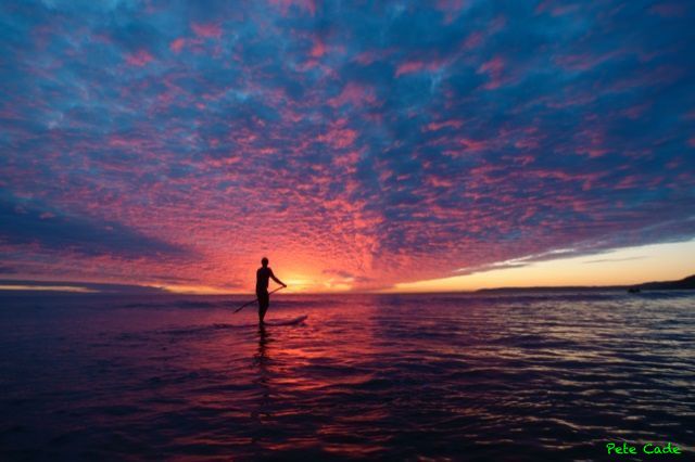 Geddon Plymouth 💚 tweet media