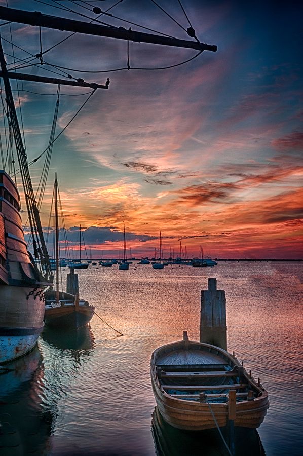 Geddon Plymouth 💚 tweet media