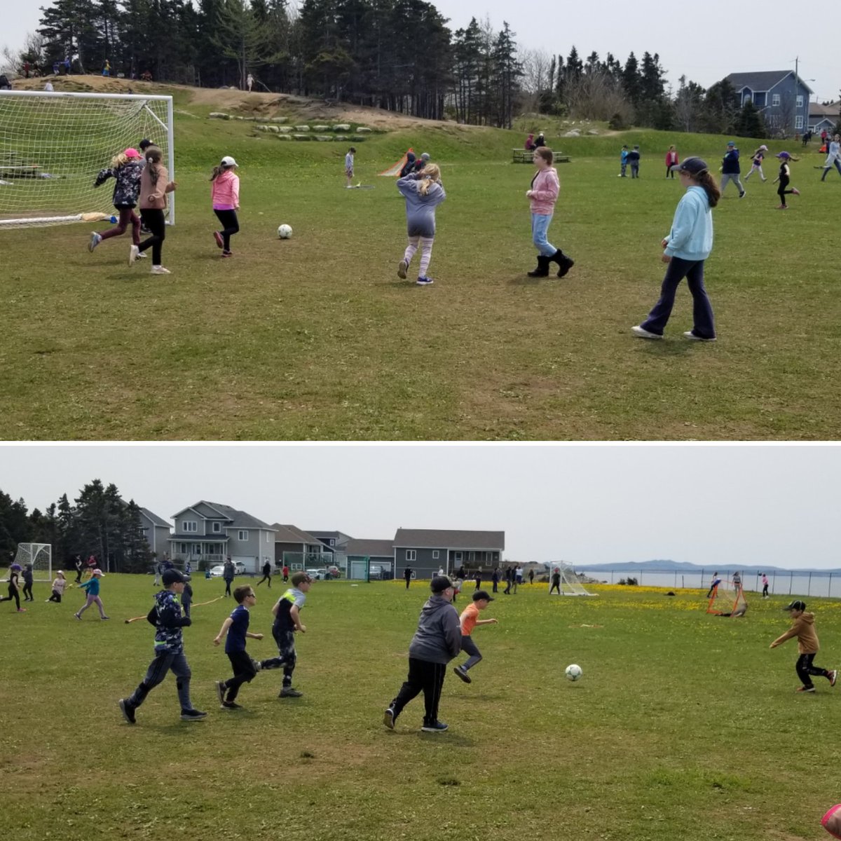 Ms.Doyle Grade 3 tweet media