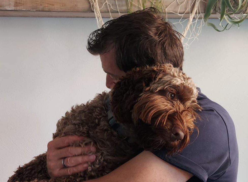 Who needs a hug ? 

MEEEE !!!🥰🫠
#dogsoftwitter #Labradoodle