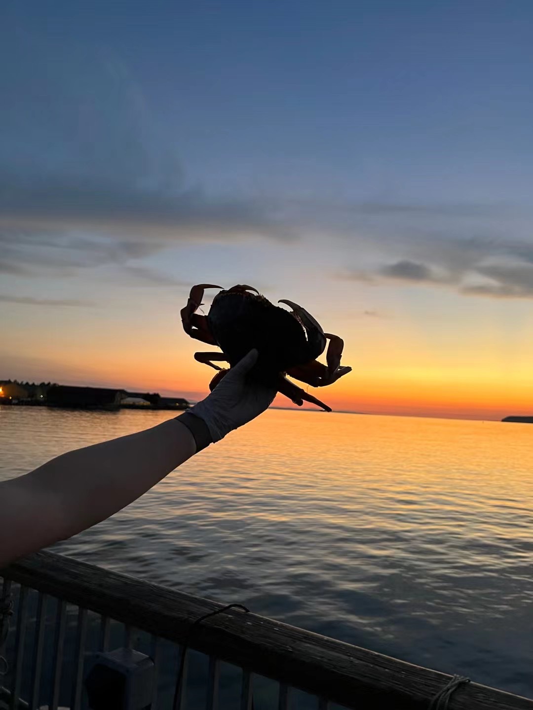 Washington Department of Fish & Wildlife on Twitter "The Washington