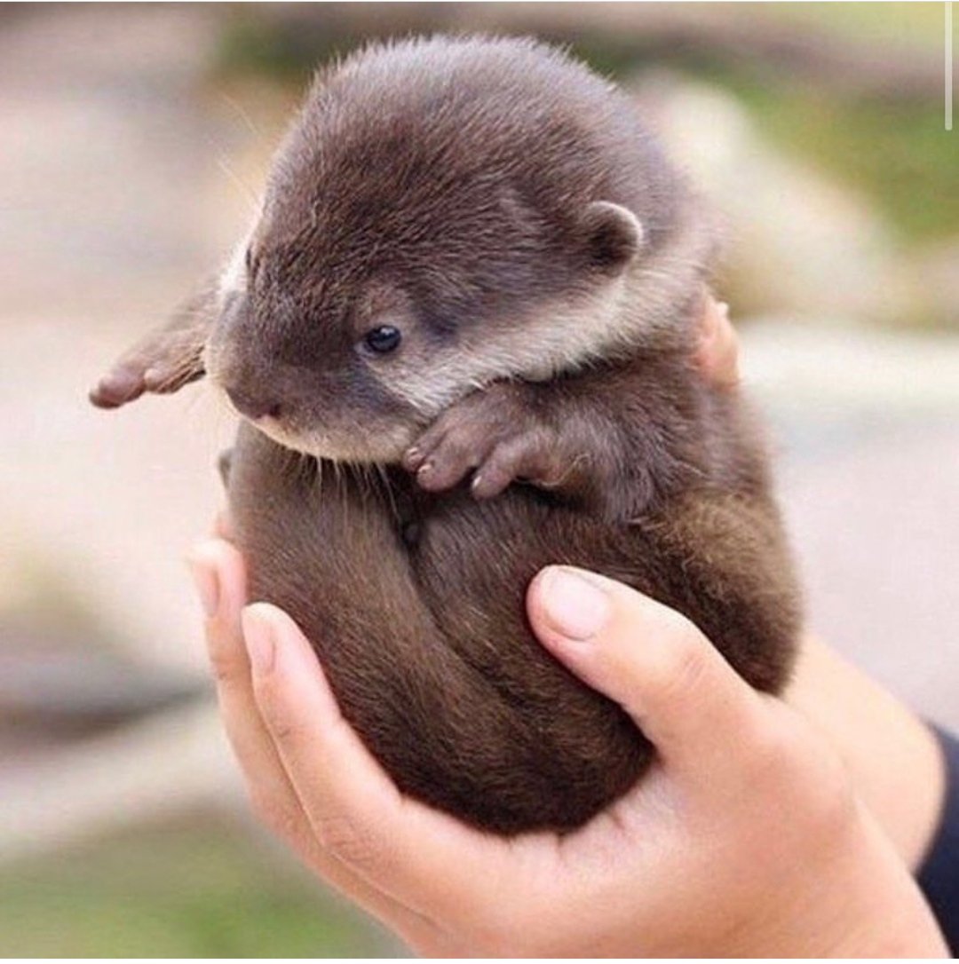 twotter_1's tweet photo. take this, it will literally give you superpowers👀👍💥 https://t.co/WNArhUOWSc