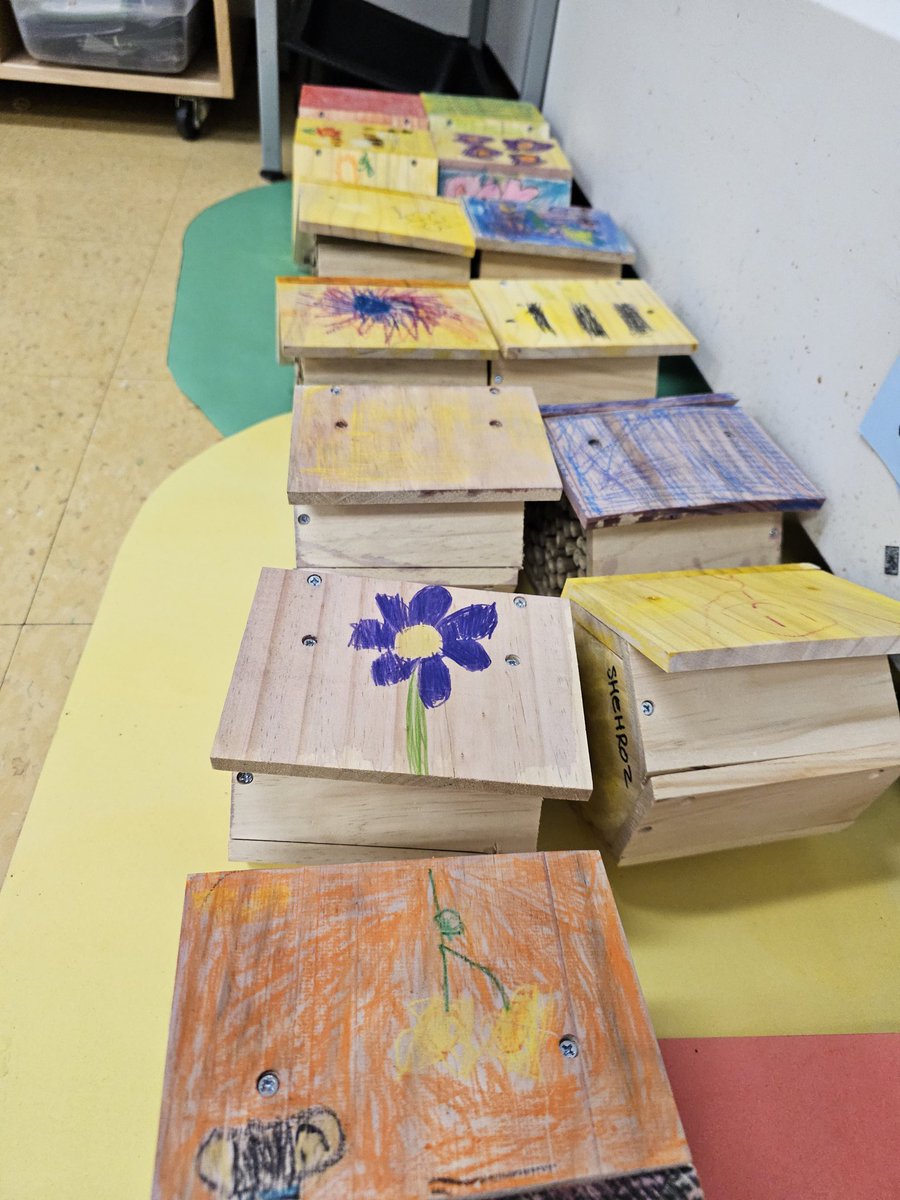 Mrs. Leung-Chow's Grade 1 Class tweet media