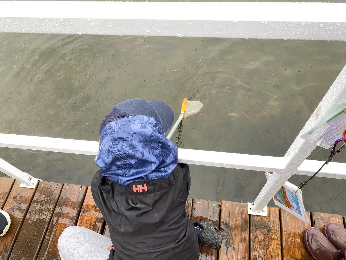 The rain didn’t stop us from learning all about wetlands at <a href="/heritageparkyyc/">Heritage Park</a> today. Way to go soggy scientists! #rvsed