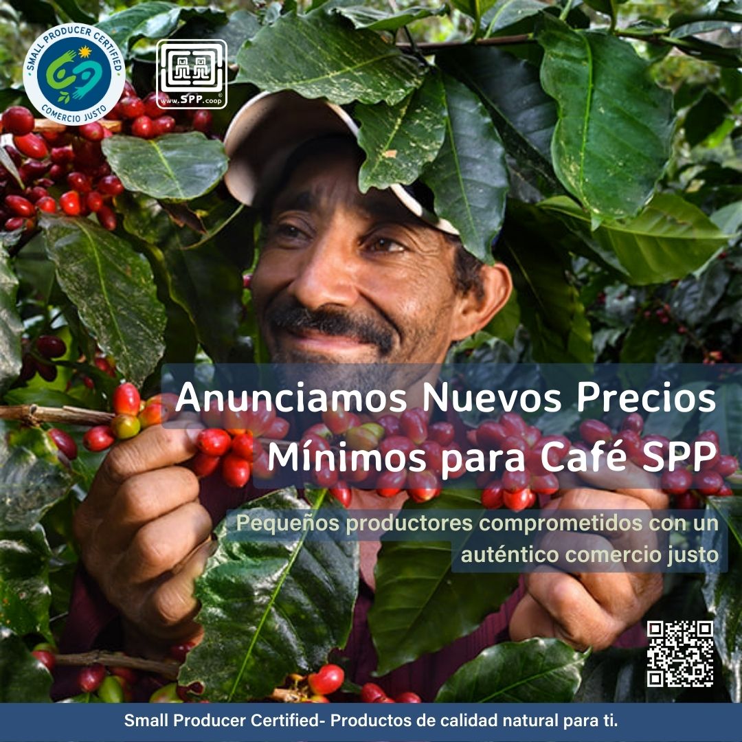 SimboloPP's tweet image. Es un gran gusto poder compartir con ustedes los nuevos Precios Sustentables Mínimos para Café SPP, que entrarán en vigor el próximo 16 de julio de 2023.

Para conocer más detalles, da click aquí tinyurl.com/mua649y9
¡Enhorabuena!