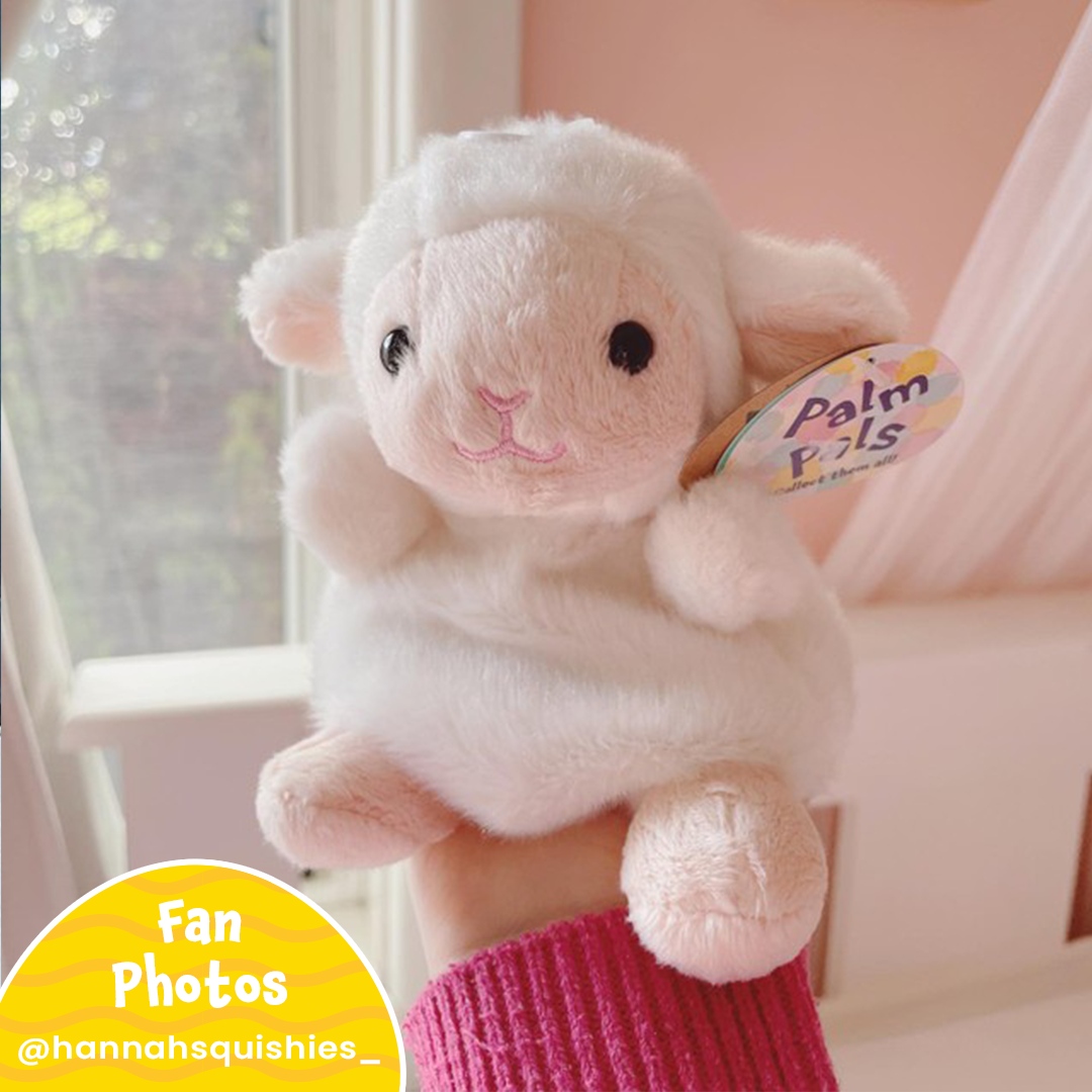 PalmpalsO's tweet photo. Wednesday just got a lot cuter with Woolly Lamb! ๐ค Thank you @hannahsquishies_ for sharing such a sweet pic ๐ธ
#palmpalsparty #palmpals #plushies #plushlife #plushieslife โ
#stuffedanimal #kawaiiplush #cuteplush #fanposts #fans #fanlove #lamb https://t.co/LktnXaHPUh