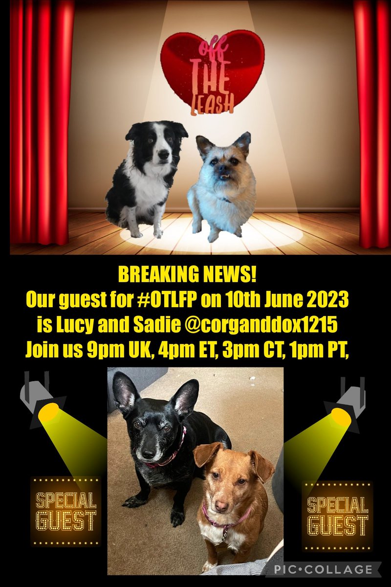 📌 Did you miss our latest #OTLFP show this past Sat June 10? Click this link to see highlights! Guests: Lucy & Sadie @corganddox1215 Hosts: @Pixie_Tooth & @MillieOTLFP Our next show will be Sat Jun 24! All welcome. Just search and follow #OTLFP! twitter.com/search?q=%23OT…