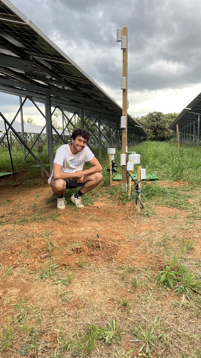 davelefr's tweet photo. La semaine a commencé avec 24 capteurs météo installés pour comprendre et conseiller au mieux nos éleveurs dans des systèmes #agrivoltaics https://t.co/XVpH6ezm64