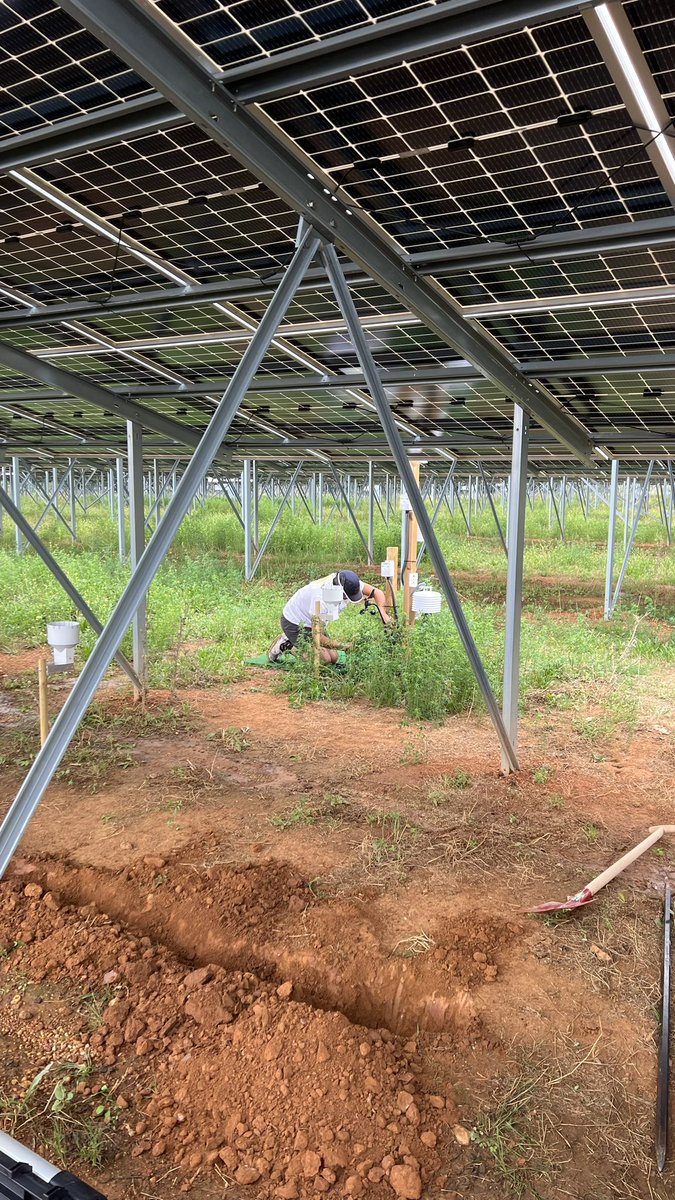 davelefr's tweet photo. La semaine a commencé avec 24 capteurs météo installés pour comprendre et conseiller au mieux nos éleveurs dans des systèmes #agrivoltaics https://t.co/XVpH6ezm64