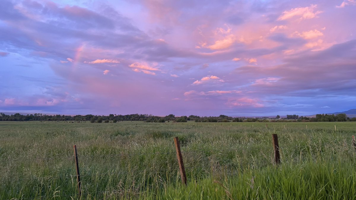 Beautiful Oregon tweet media