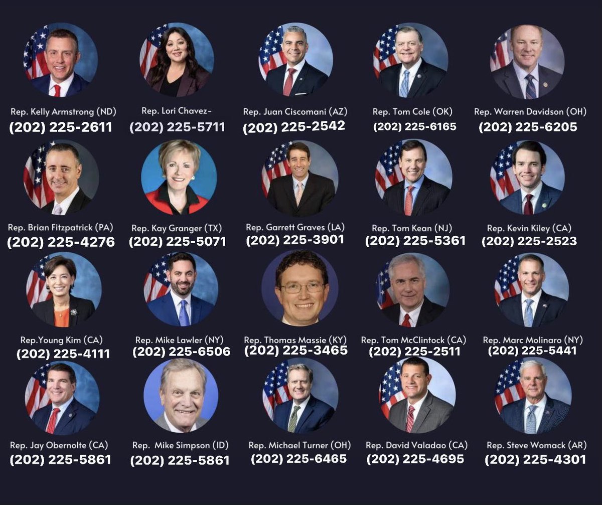 The 20 spineless, useless, cowards, pathetic, RINOS who voted with the Democrats. They voted to block resolution to censure & fine Adam Schiff.