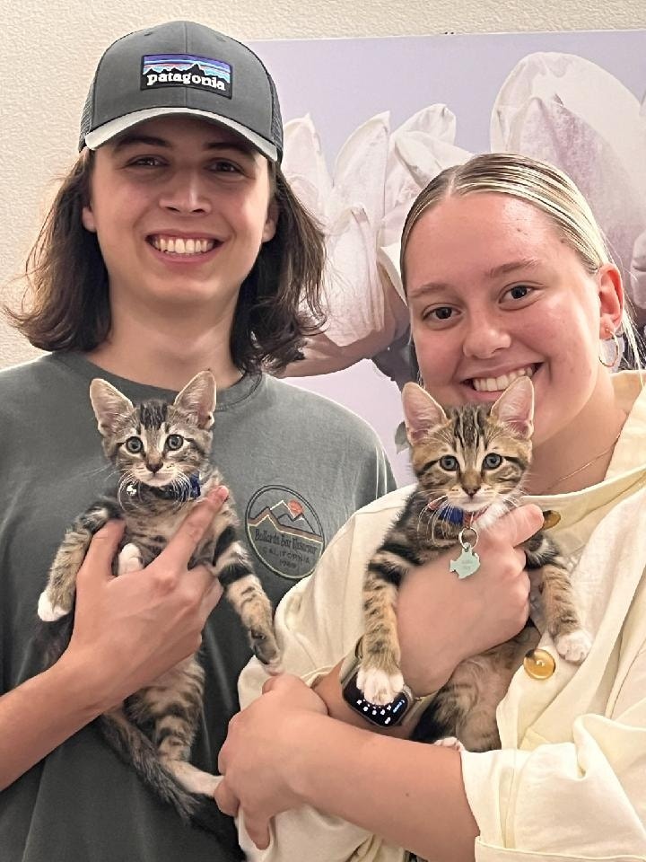 😍Adopted!!😍
Dandelion, now Babu Frick, will be going home with his brother Buttercup, now Mando. 
#petsmartcharities #gotchaday #adoptdontshop #fureverhome #kittens #fosterfail #whiskerwednesday
