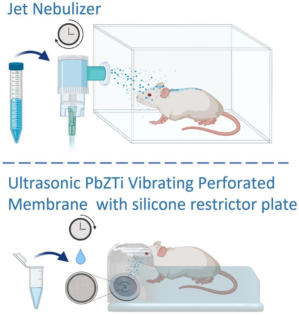 JCRnEDITORS's tweet image. Low-dose intrapulmonary drug delivery device for studies on next-generation therapeutics in mice.
| Glenn P. Cruse @NCStateVetPAC |
#pulmonarydelivery #nebulizer
doi.org/10.1016/j.jcon…