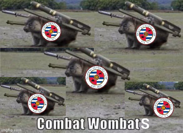 XanFrank1871's tweet photo. #CombatWombats #Readingfc https://t.co/mlTmXycdUa