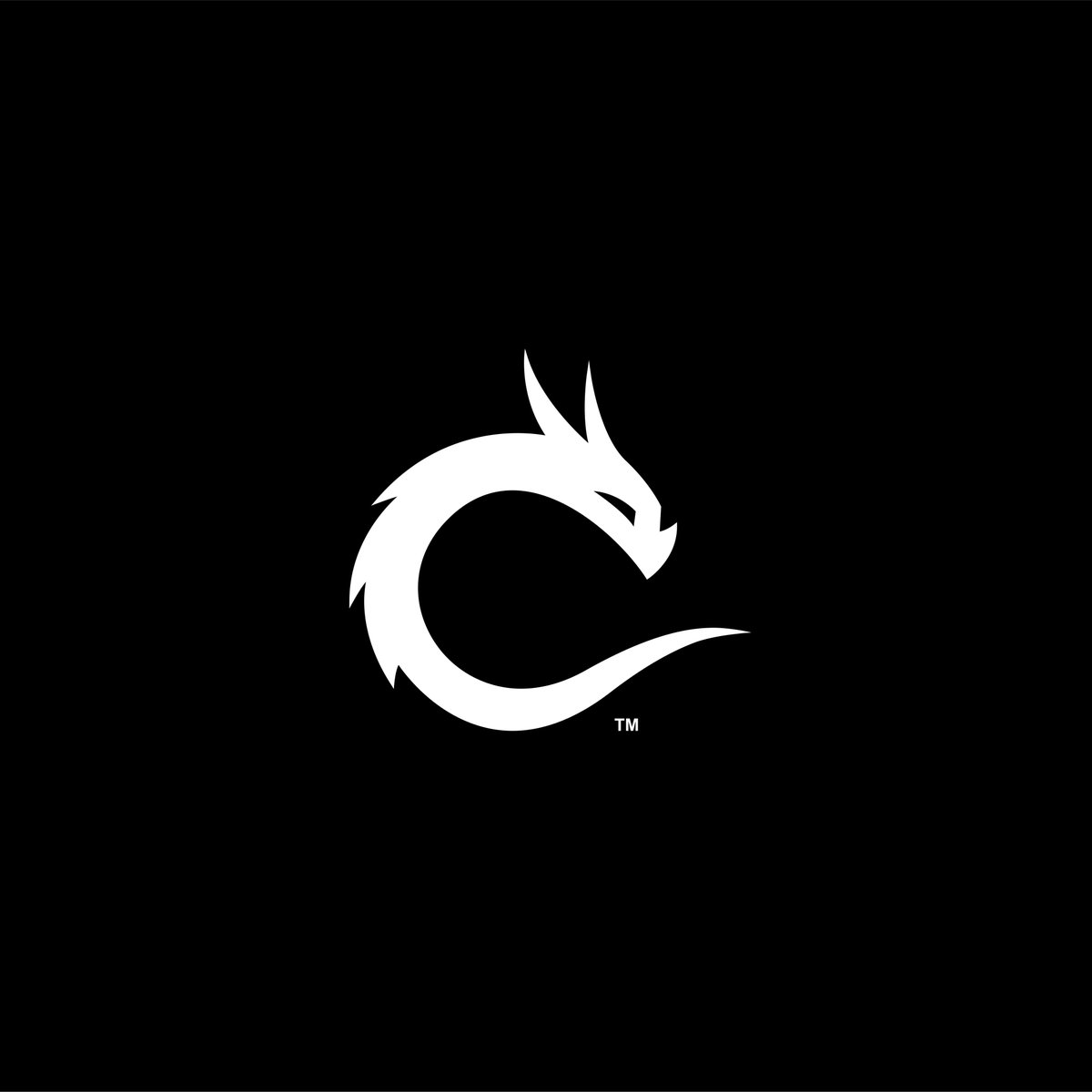 vedantdsn's tweet image. C + Dragon