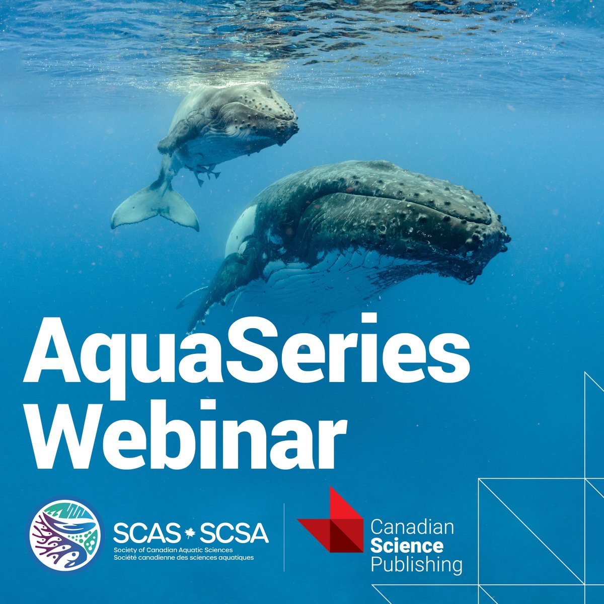 scas_scsa's tweet photo. Announcing our new webinar series: AquaSeries! Join us on June 27 at 2:30 PM EST for “Publishing in the Aquatic Sciences”. Hosted by @scas_scsa and @cdnsciencepub.

With @JulesBlais @jtimives11 @MargaretDocker &amp; Yong Chen @CJFAS

Register here: https://t.co/149TgMIuo4 https://t.co/YhteoL0AjB