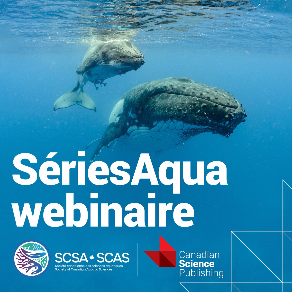 scas_scsa's tweet photo. Announcing our new webinar series: AquaSeries! Join us on June 27 at 2:30 PM EST for “Publishing in the Aquatic Sciences”. Hosted by @scas_scsa and @cdnsciencepub.

With @JulesBlais @jtimives11 @MargaretDocker &amp; Yong Chen @CJFAS

Register here: https://t.co/149TgMIuo4 https://t.co/YhteoL0AjB