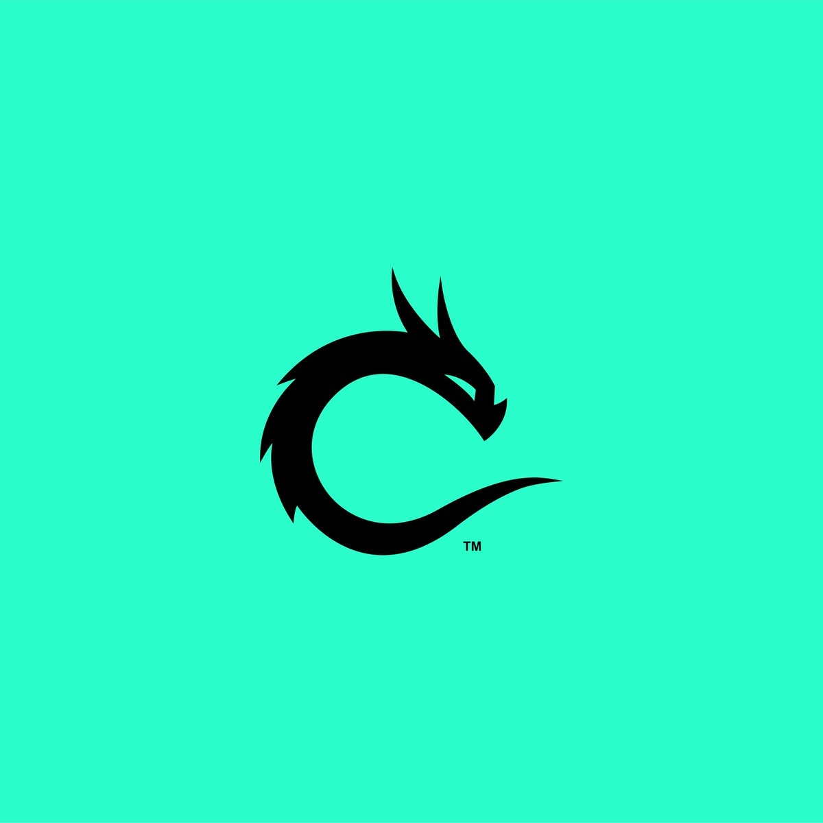 vedantdsn's tweet image. C + Dragon