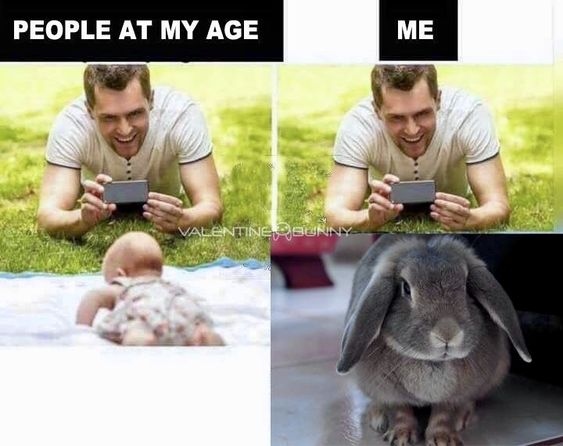 RabbitHoleHay's tweet photo. 🥹💕

#RabbitHoleHay #RabbitMemes #OwningARabbit https://t.co/npD0SjTgyc