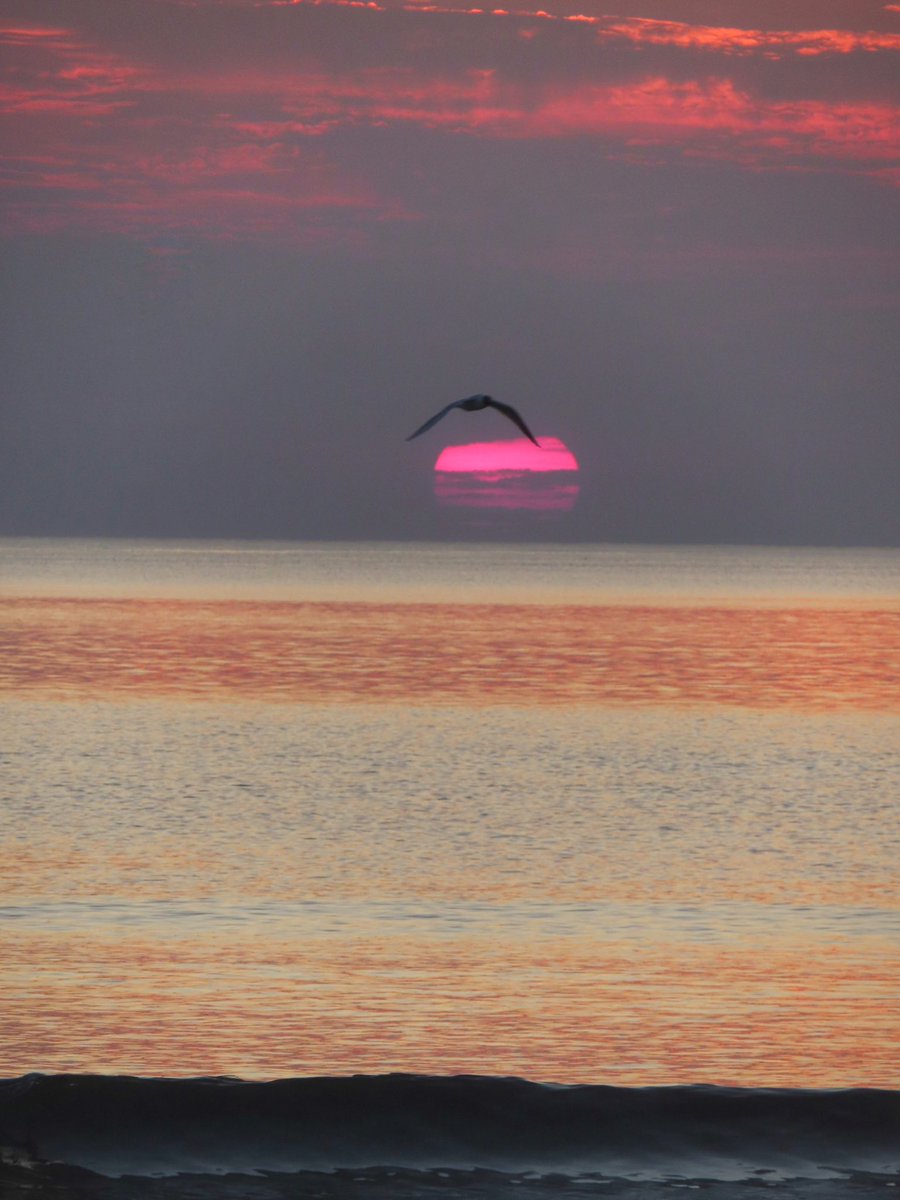wildswimmer67's tweet photo. Sunset supreme at Carrickfinn in #DonegallabouttheLight  #ireland #sunset #rteweather #donegalweather @welovedonegal @DonegalA @DonegalWeatherC #danielodonnell #irishsunset @visit_donegal @idonegal_ @NWIrePhoto @TourismIreland https://t.co/L1Gz0Q1ZcV