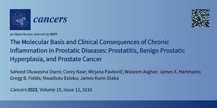 The Molecular Basis and Clinical Consequences of Chronic Inflammation in Prostatic Diseases: Prostatitis, Benign Prostatic Hyperplasia, and Prostate Cancer mdpi.com/2333562 #mdpicancers via @Cancers_MDPI