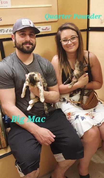 😍Adopted!!😍
Big Mac and Quarter Pounder were so excited to go home together! They will have a canine and human siblings to play with and love on.
#PetsmartCharities #gotchaday #adoptdontshop #fureverhome #kittens #whiskerwednesday