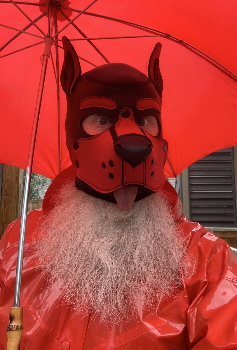 PupChunk's tweet photo. Not gonna catch me smelling like a wet doggo today https://t.co/vcF3tZQ7EY