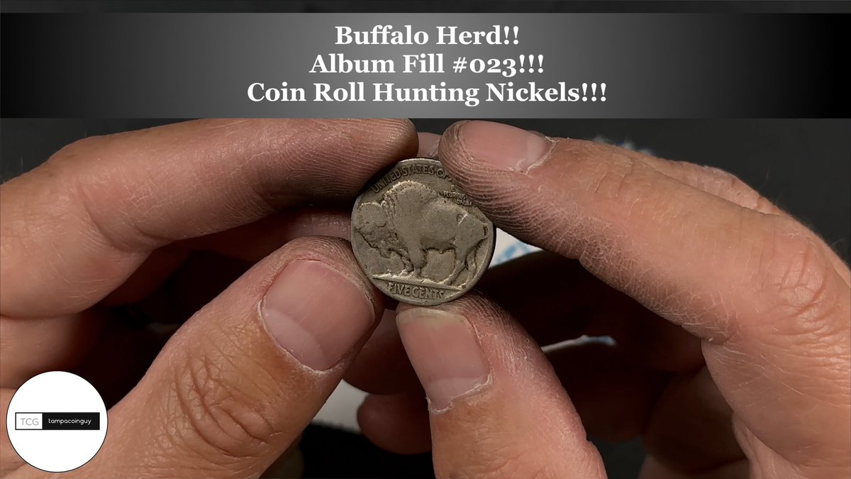 Buffalo Herd FOUND!!!

youtu.be/0dJNAfNr5zY

#silvercoins #coinrollhunting #coin #coins #coincollecting #coincollection #numismatic #numismatist #numismatics #coinweek #coinlife #silvercoin #coinhunting #nickels #warnickels #silvernickel #buffalonickels