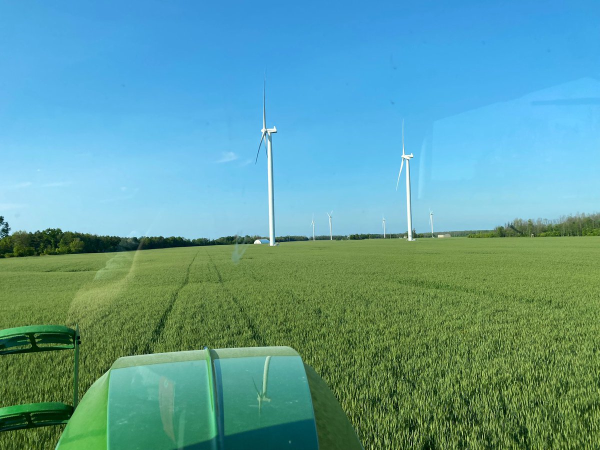 Mark McLean tweet media