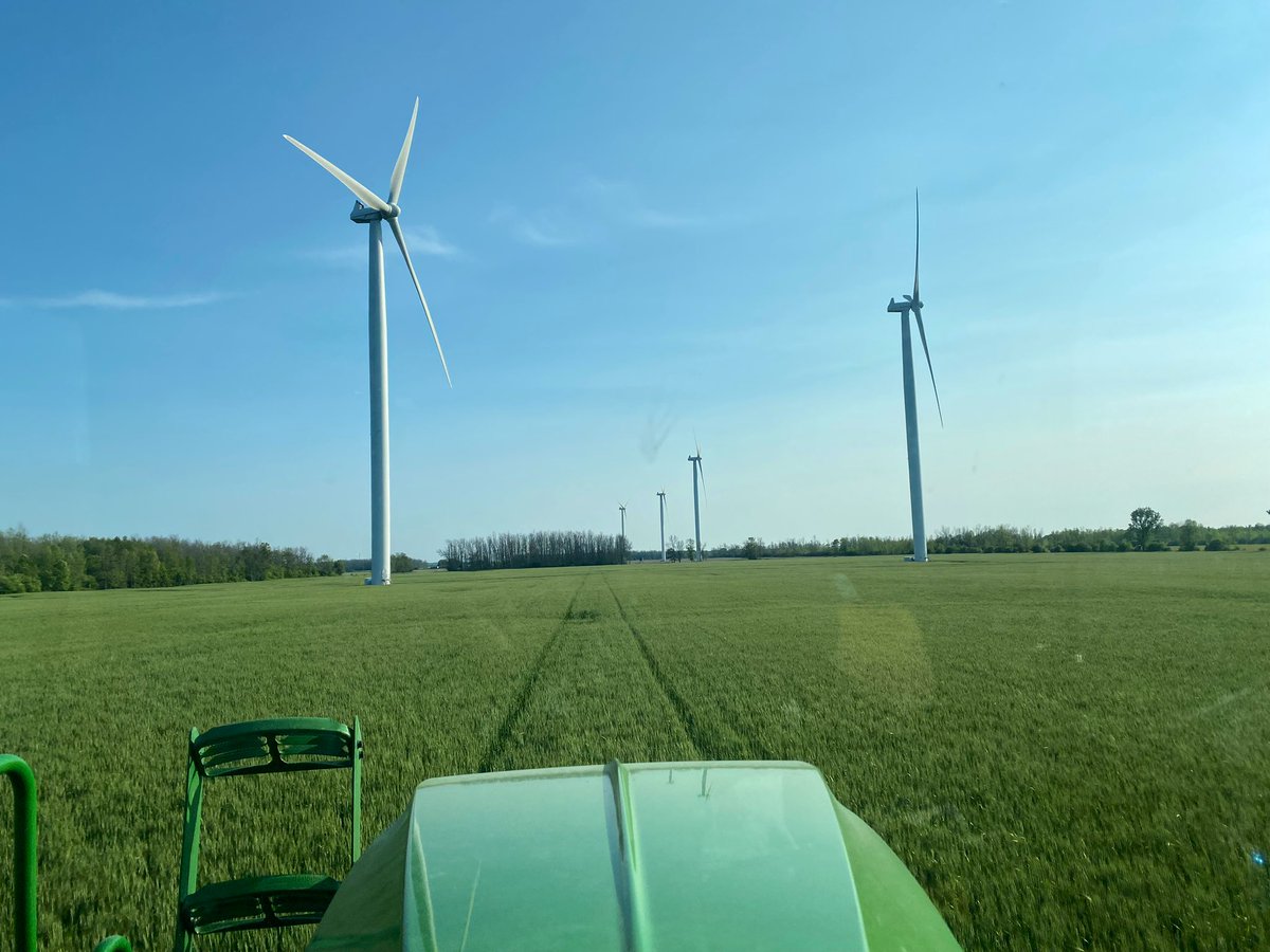 Mark McLean tweet media