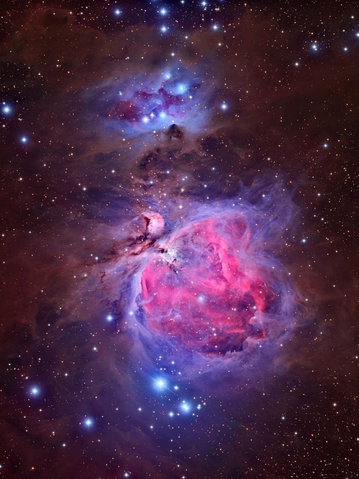 M42 Great Orión Nebula by Space Time (396) (BuGs) tmblr.co/Z4Zrabd0dZiLWu…