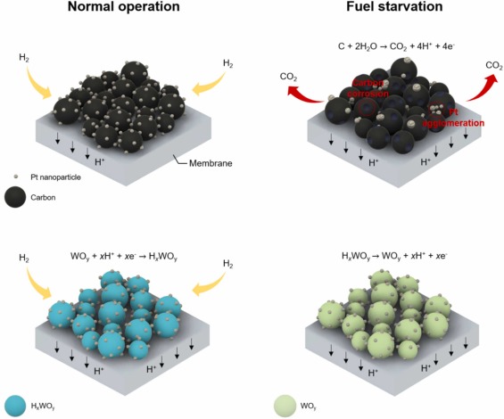 Recent work by Joon Hyung Shim and colleagues from <a href="/UniversityKorea/">Korea University</a> used Ar plasma treatment and Pt deposition to manufacture an extremely robust anode catalyst, overcoming the carbon support corrosion issue in a fuel cell. 

Read full article⬇️
sciencedirect.com/science/articl…